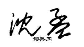 朱锡荣沈孟草书个性签名怎么写