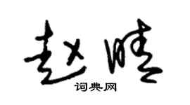朱锡荣赵晴草书个性签名怎么写