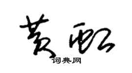 朱锡荣黄虹草书个性签名怎么写