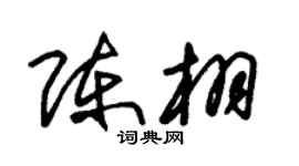 朱锡荣陈栩草书个性签名怎么写