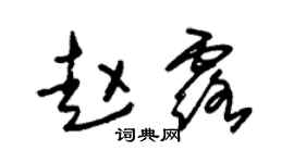 朱锡荣赵露草书个性签名怎么写