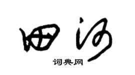 朱锡荣田河草书个性签名怎么写