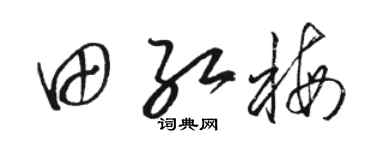 骆恒光田红梅草书个性签名怎么写