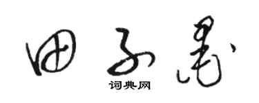 骆恒光田子墨草书个性签名怎么写