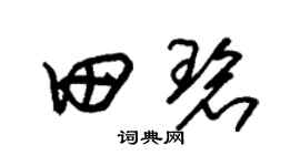 朱锡荣田碧草书个性签名怎么写