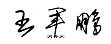 朱锡荣王军鹏草书个性签名怎么写