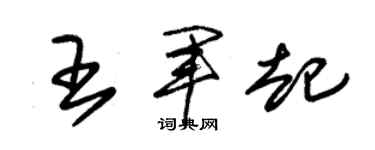 朱锡荣王军起草书个性签名怎么写