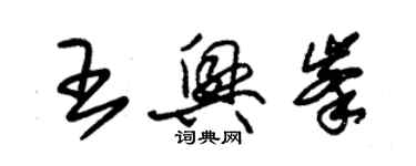 朱锡荣王兴峰草书个性签名怎么写