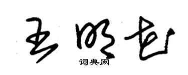 朱锡荣王明花草书个性签名怎么写