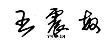 朱锡荣王震敏草书个性签名怎么写