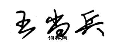 朱锡荣王尚兵草书个性签名怎么写