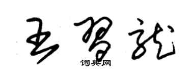 朱锡荣王习龙草书个性签名怎么写
