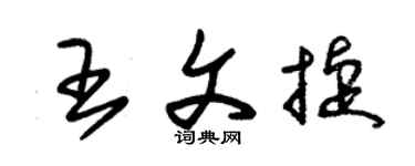 朱锡荣王文捷草书个性签名怎么写