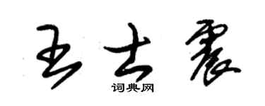 朱锡荣王士震草书个性签名怎么写