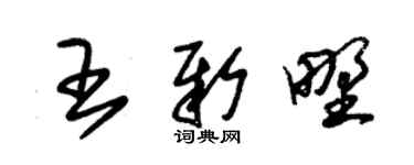 朱锡荣王新野草书个性签名怎么写