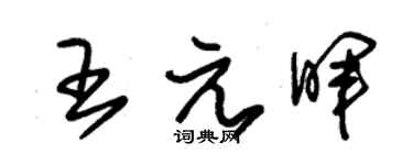 朱锡荣王元晖草书个性签名怎么写