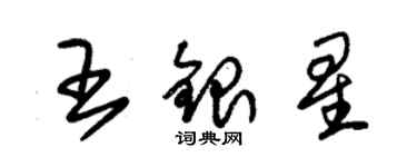朱锡荣王银星草书个性签名怎么写