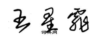 朱锡荣王星霏草书个性签名怎么写