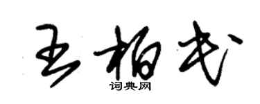 朱锡荣王柏民草书个性签名怎么写