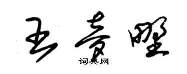 朱锡荣王梦野草书个性签名怎么写