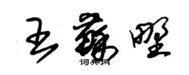朱锡荣王苏野草书个性签名怎么写