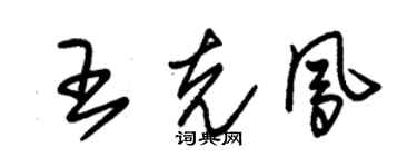 朱锡荣王克凤草书个性签名怎么写