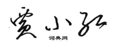 骆恒光贾小红草书个性签名怎么写