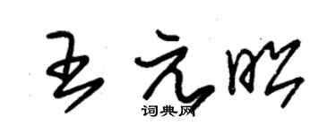 朱锡荣王元昭草书个性签名怎么写