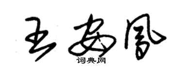 朱锡荣王安凤草书个性签名怎么写