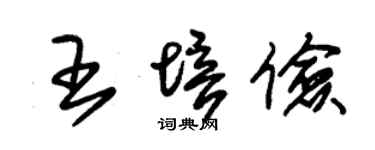 朱锡荣王培俭草书个性签名怎么写