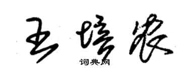 朱锡荣王培农草书个性签名怎么写