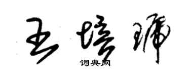 朱锡荣王培琥草书个性签名怎么写