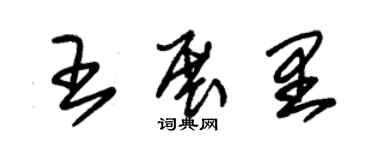 朱锡荣王展里草书个性签名怎么写