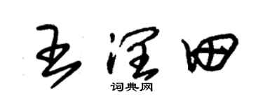 朱锡荣王润田草书个性签名怎么写