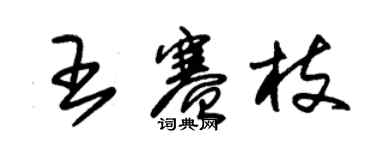 朱锡荣王赛枝草书个性签名怎么写