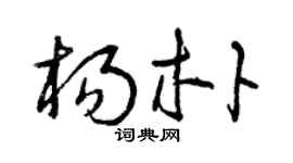 曾庆福杨朴草书个性签名怎么写