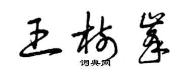 曾庆福王树峰草书个性签名怎么写