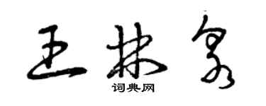 曾庆福王林泉草书个性签名怎么写