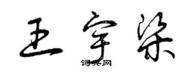 曾庆福王宇梁草书个性签名怎么写