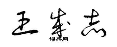 曾庆福王成志草书个性签名怎么写