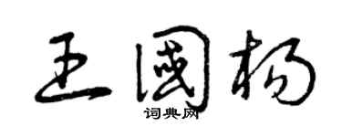 曾庆福王国杨草书个性签名怎么写