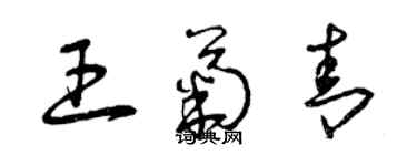 曾庆福王菊青草书个性签名怎么写