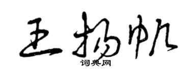 曾庆福王扬帆草书个性签名怎么写