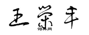 曾庆福王荣丰草书个性签名怎么写