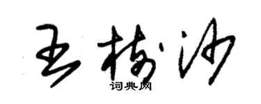 朱锡荣王树沙草书个性签名怎么写