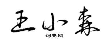 曾庆福王小森草书个性签名怎么写