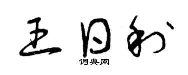 曾庆福王日利草书个性签名怎么写