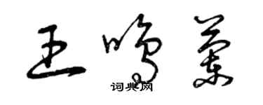 曾庆福王鸣兰草书个性签名怎么写
