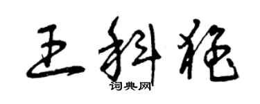 曾庆福王科猛草书个性签名怎么写