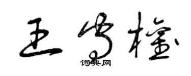 曾庆福王守权草书个性签名怎么写